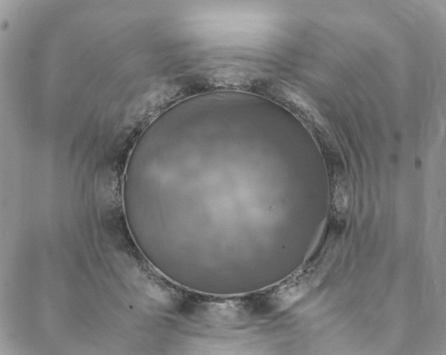 X0000088400411200706121240