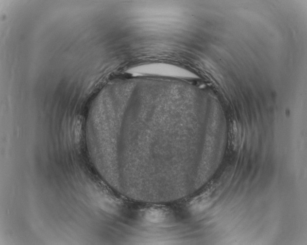 X0000088400412200706121240