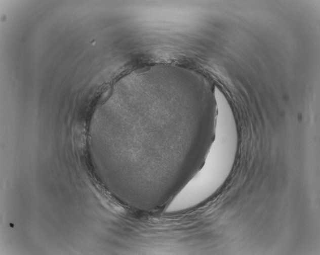 X0000088400413200706121240