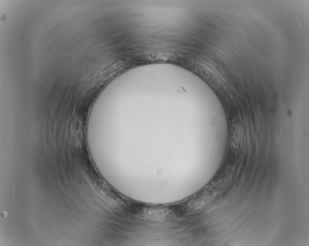 X0000088400414200706121240