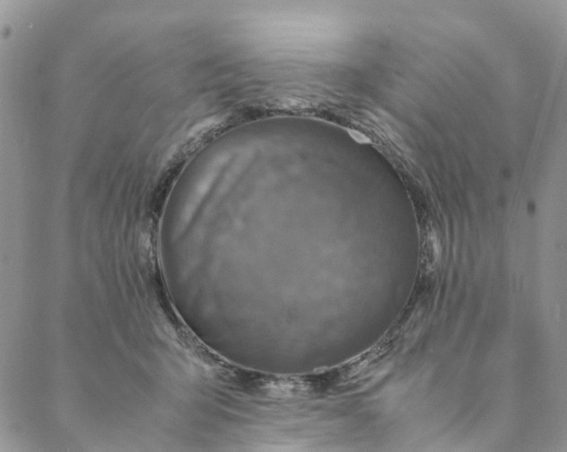 X0000088400415200706121240