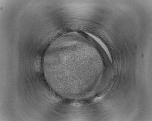 X0000088400416200706121240