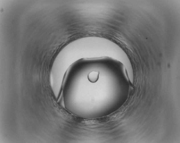 X0000088400417200706121240