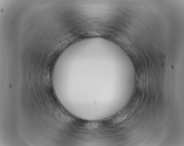 X0000088400418200706121240