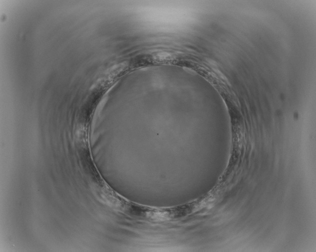 X0000088400419200706121240