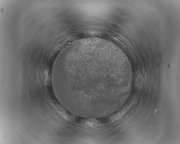 X0000088400420200706121240