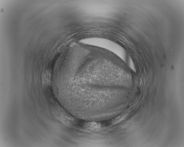 X0000088400421200706121240