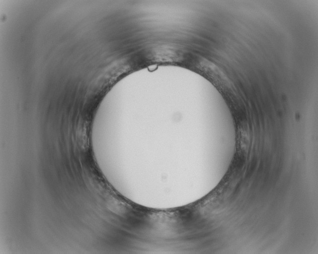 X0000088400422200706121240