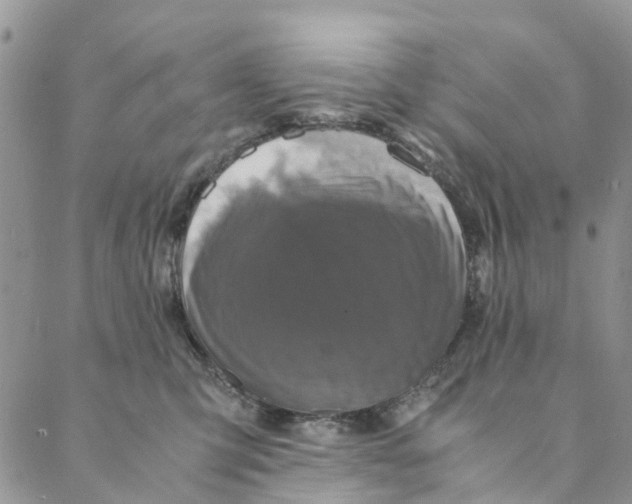 X0000088400423200706121240