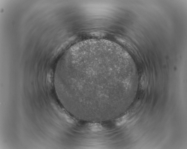 X0000088400424200706121240