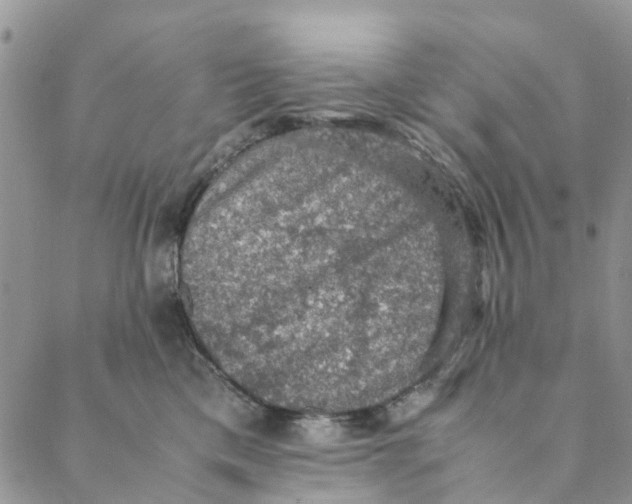 X0000088400425200706121240