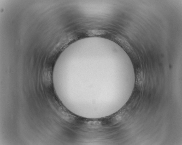 X0000088400426200706121240