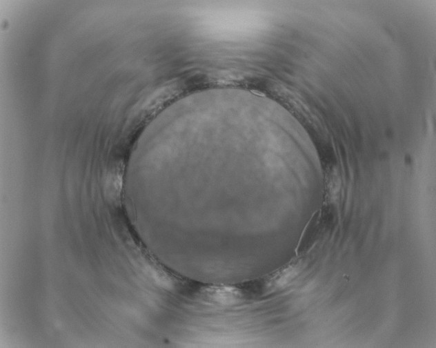 X0000088400427200706121240