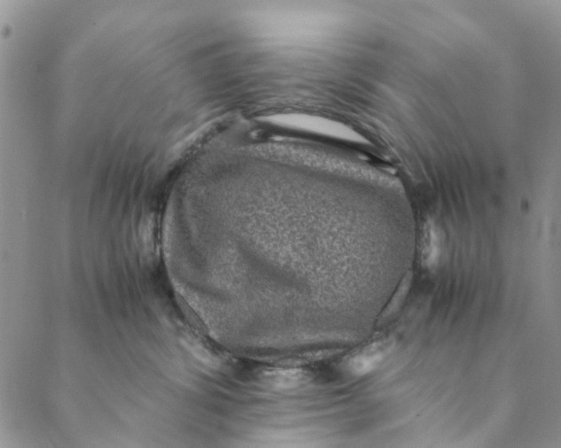 X0000088400428200706121240