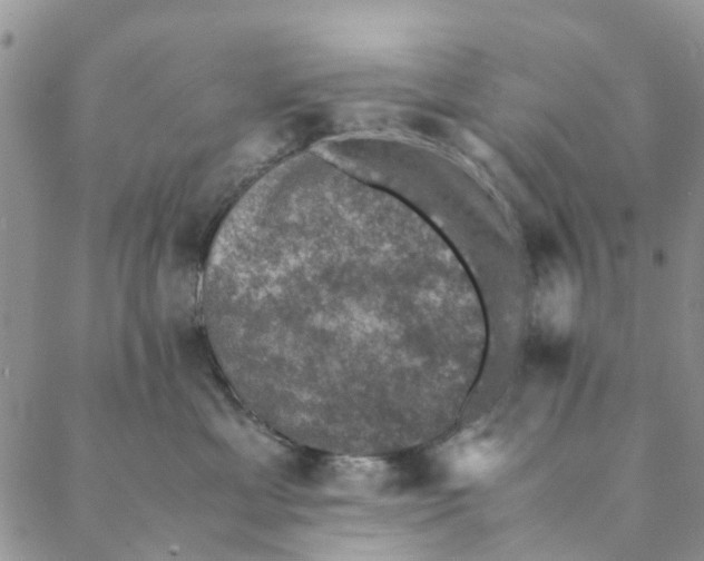 X0000088400429200706121239