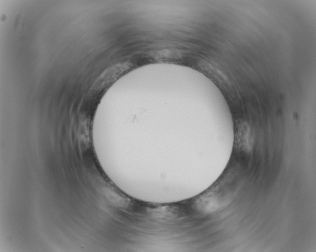 X0000088400430200706121239