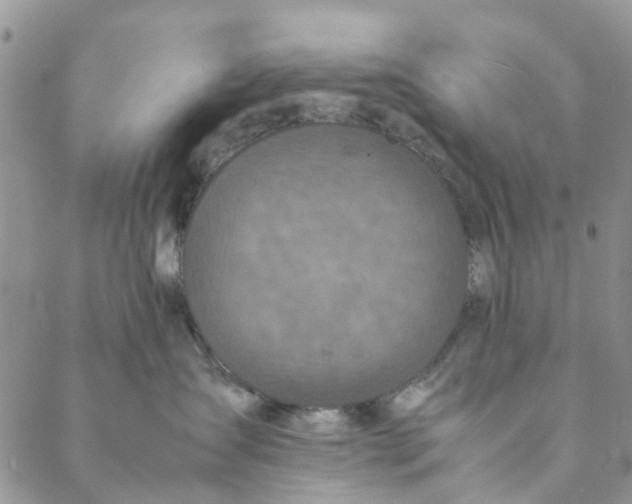 X0000088400431200706121239