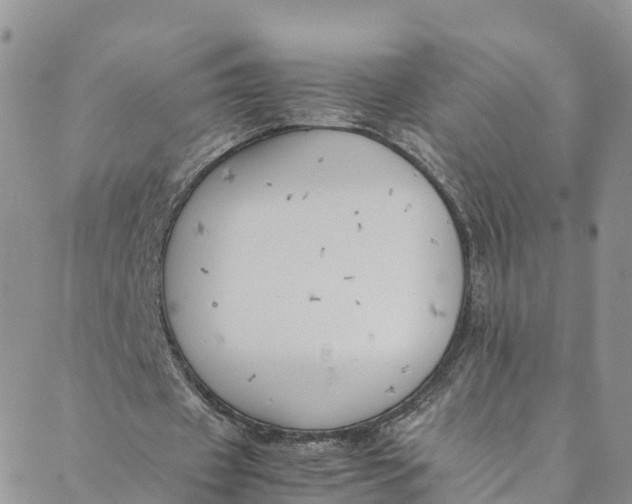 X0000088400433200706121239