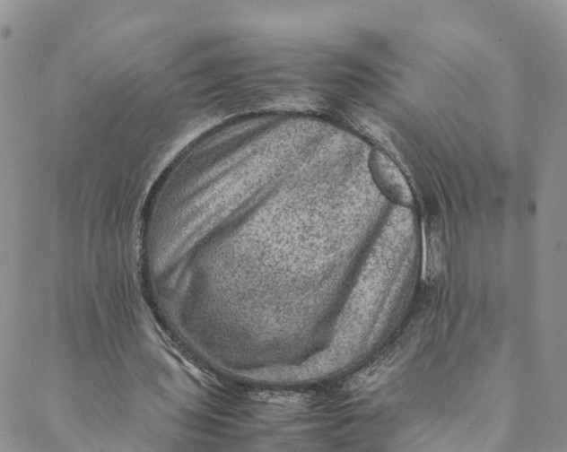 X0000088400435200706121239