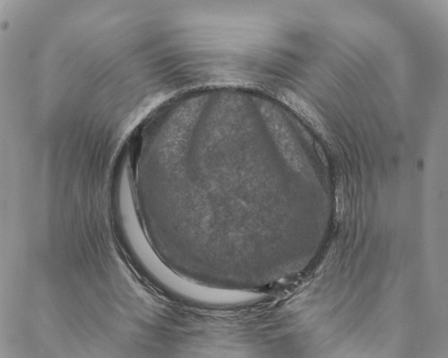 X0000088400436200706121239