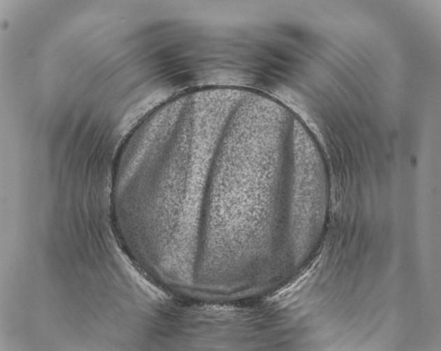 X0000088400437200706121239