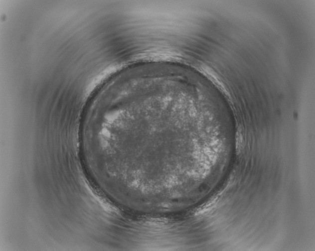 X0000088400438200706121239