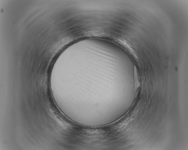 X0000088400439200706121239