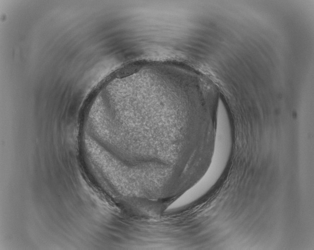 X0000088400440200706121239