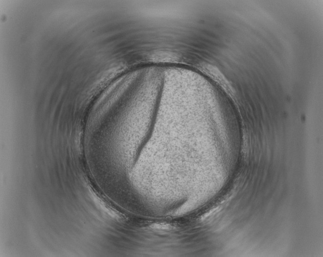 X0000088400441200706121239