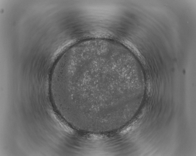 X0000088400442200706121239