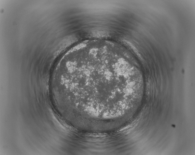 X0000088400443200706121239