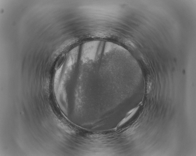 X0000088400444200706121239