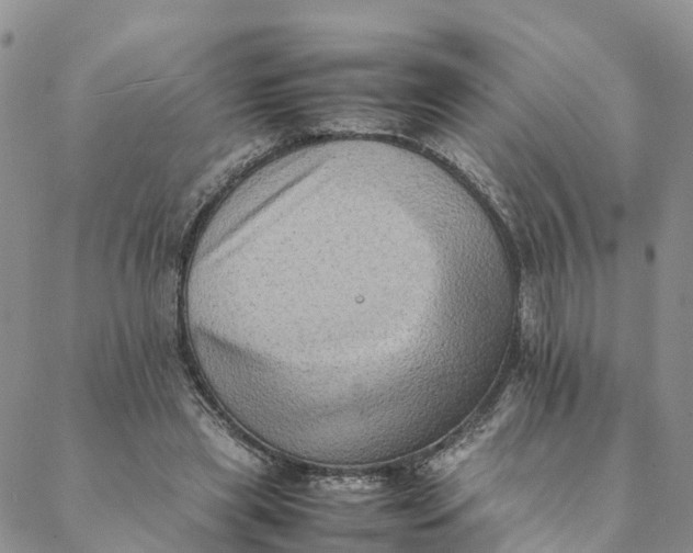 X0000088400445200706121239