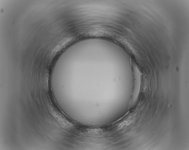 X0000088400446200706121239