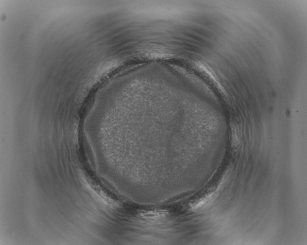 X0000088400447200706121239