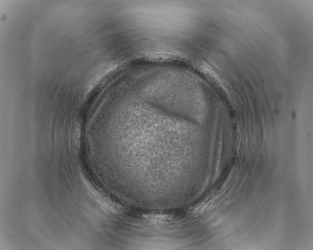 X0000088400448200706121239