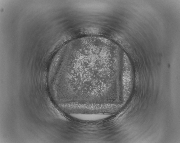 X0000088400449200706121239