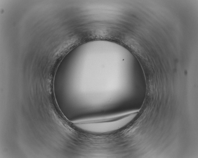 X0000088400450200706121239