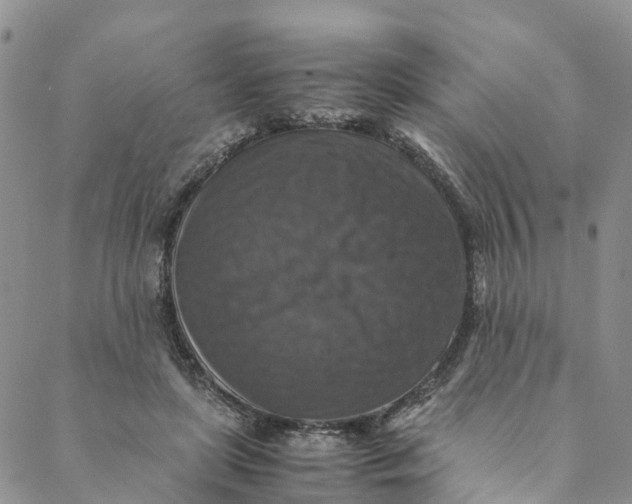 X0000088400451200706121239