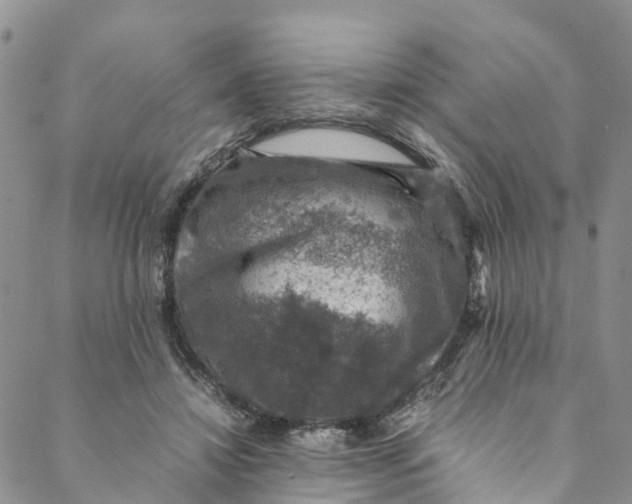 X0000088400452200706121239