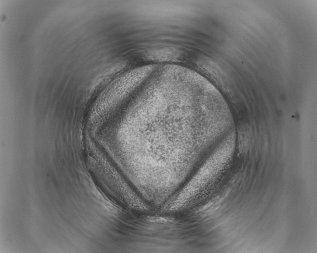 X0000088400453200706121239