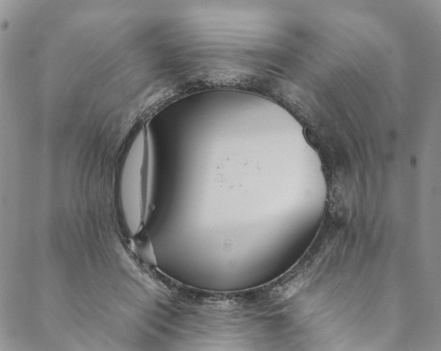 X0000088400454200706121239