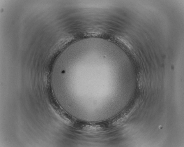 X0000088400455200706121239