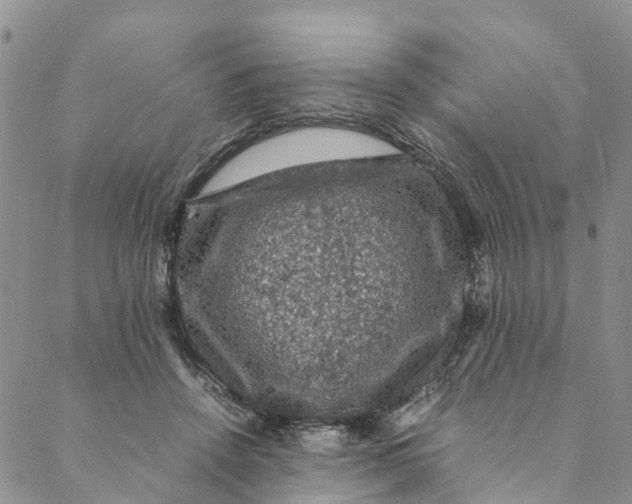 X0000088400456200706121239