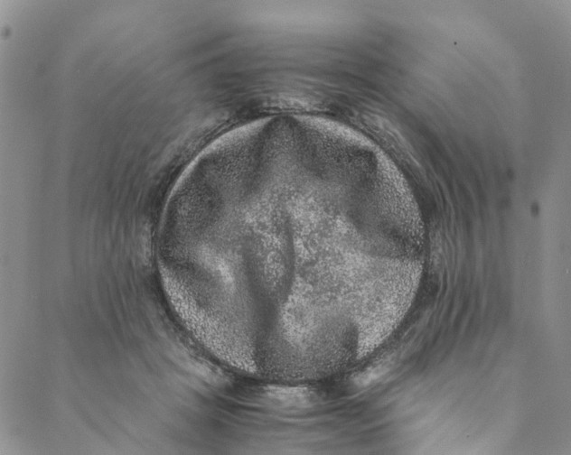 X0000088400457200706121239