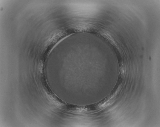 X0000088400458200706121239