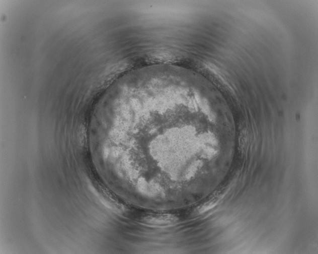 X0000088400459200706121239