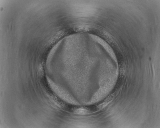 X0000088400460200706121239