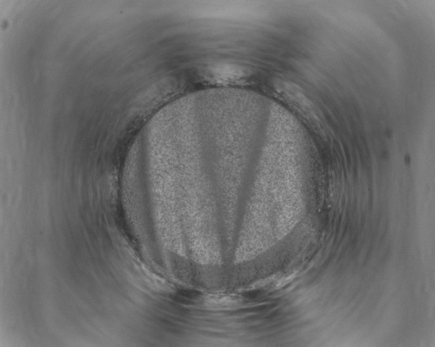 X0000088400461200706121239