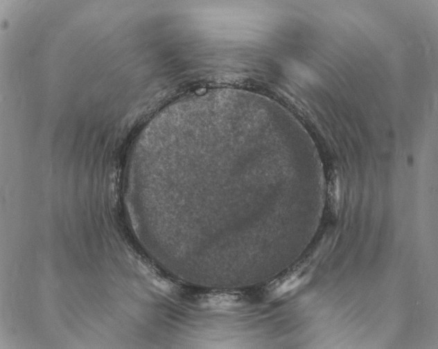 X0000088400462200706121239